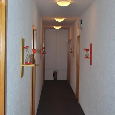 Nassauer Hof ホテル 3*