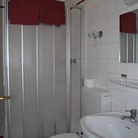 Nassauer Hof ホテル 3*